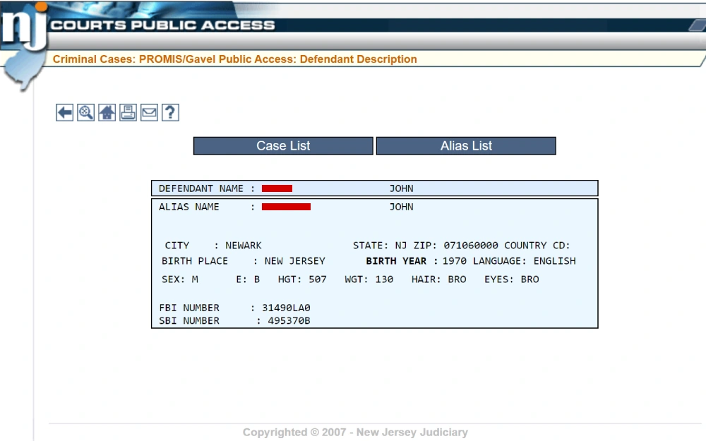 A screenshot of the search tool that can be used to find both criminal convictions and criminal judgments.